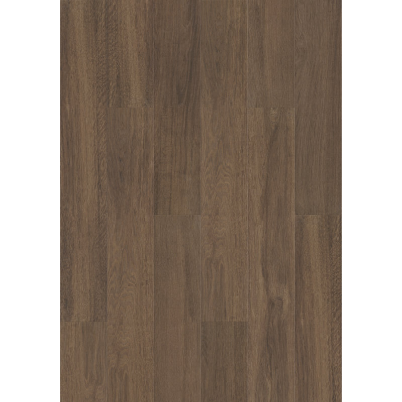 Plancher en vinyle imperméable Shaw Terreno T 8 mm x l 7 po x L 48 po, Callan