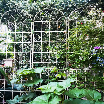 Paquet de 4 treillis de jardin en métal pour jardin d'escalade pour plantes grimpantes en acier de muyuyui