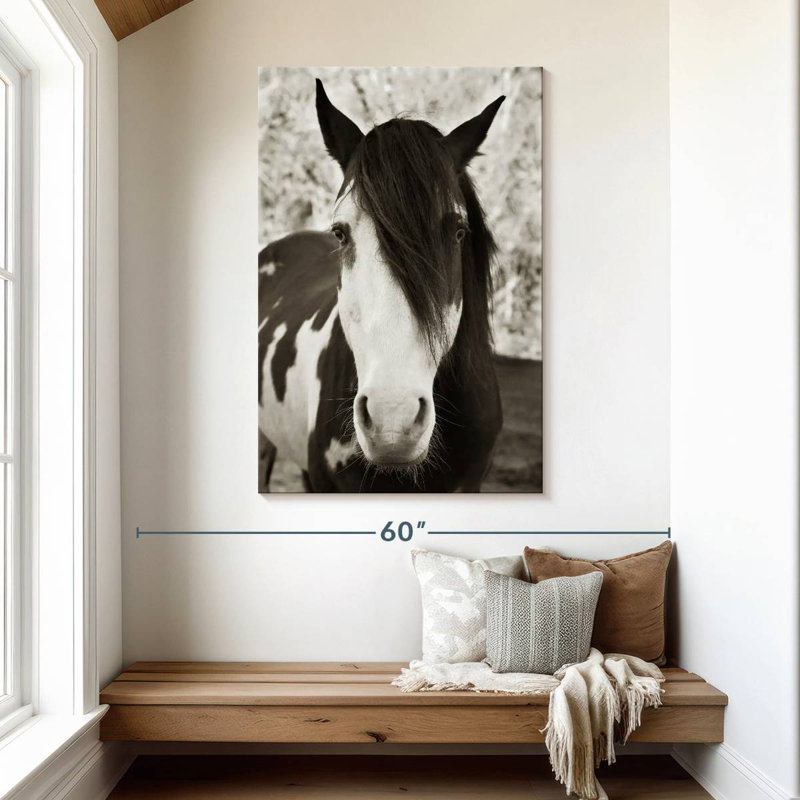 Brampt Pale Eyed Stallion, 48" H x 32" W