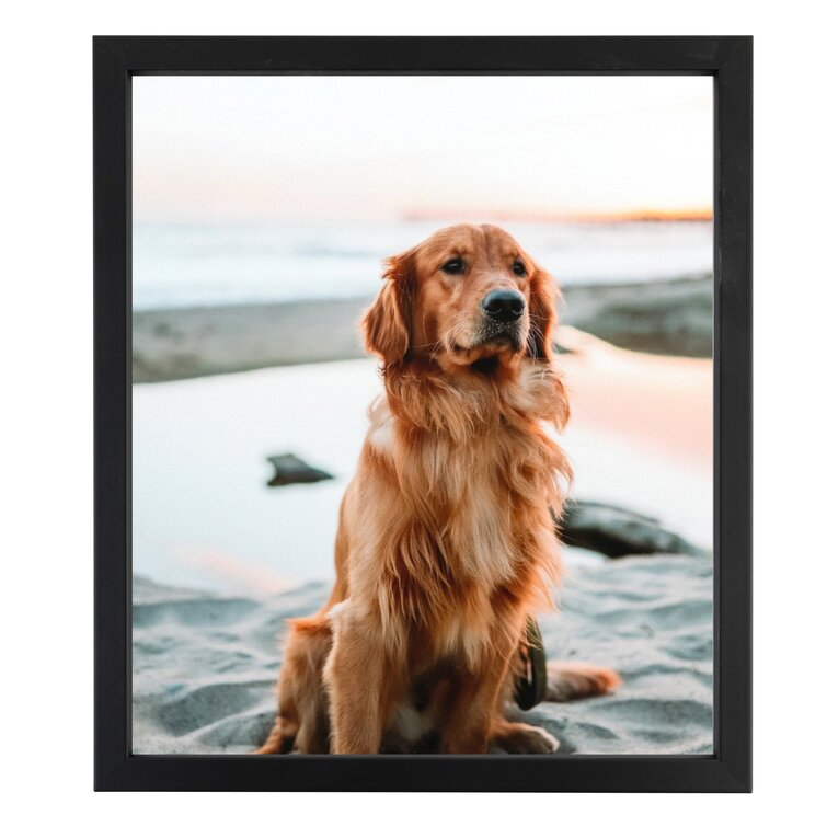 24x30 Frame Gold Real Wood Picture Frame Width 2 inches | Interior Frame  Depth 0.5 inches | Firman