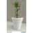 Blanc lisse