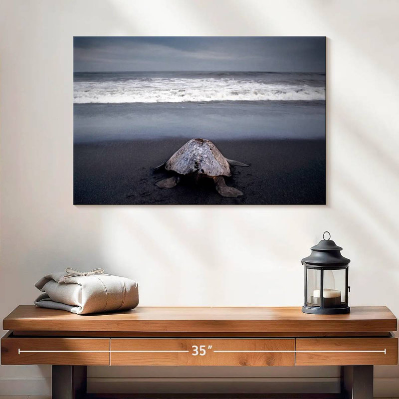 Brampt Ridley Sea Turtle, 16" H x 24" W