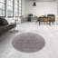 Oriental Indoor Rug-892575787