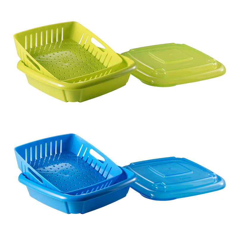 Scheidt Food Storage Container, Green/Blue