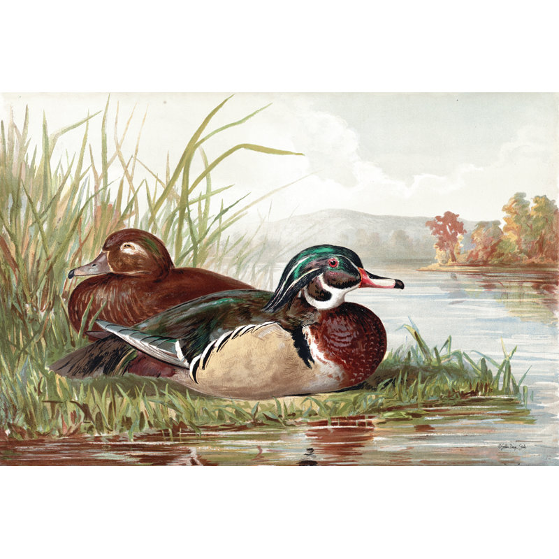 Resting Duck 2, 24" H x 36" W