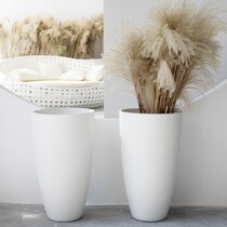 Wayfair  Ceramic Planters You'll Love in 2024