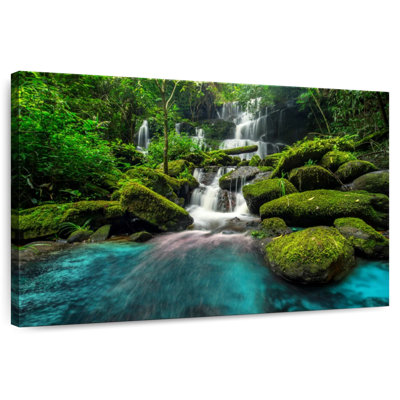 Forest Waterfall Scene