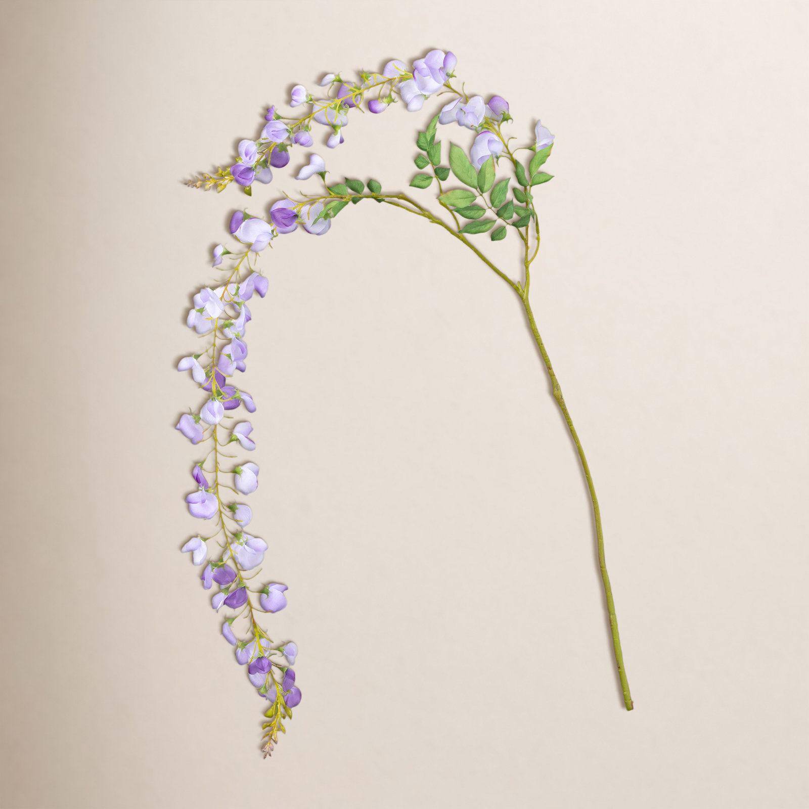 52" Precious Purple Wisteria
