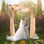 Valmonte 160cm W x 60cm D Solid Wood Arbour in Wood