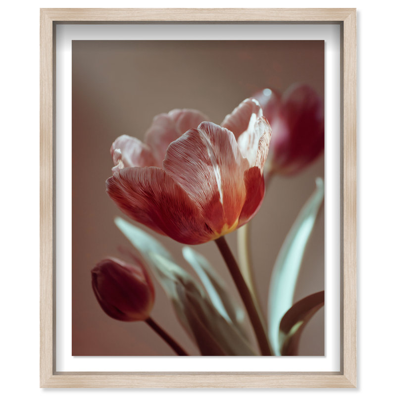 Muse of Spring Framed Graphic Art, 37.5"H x 31.5"W, Natural Oak Shadowbox