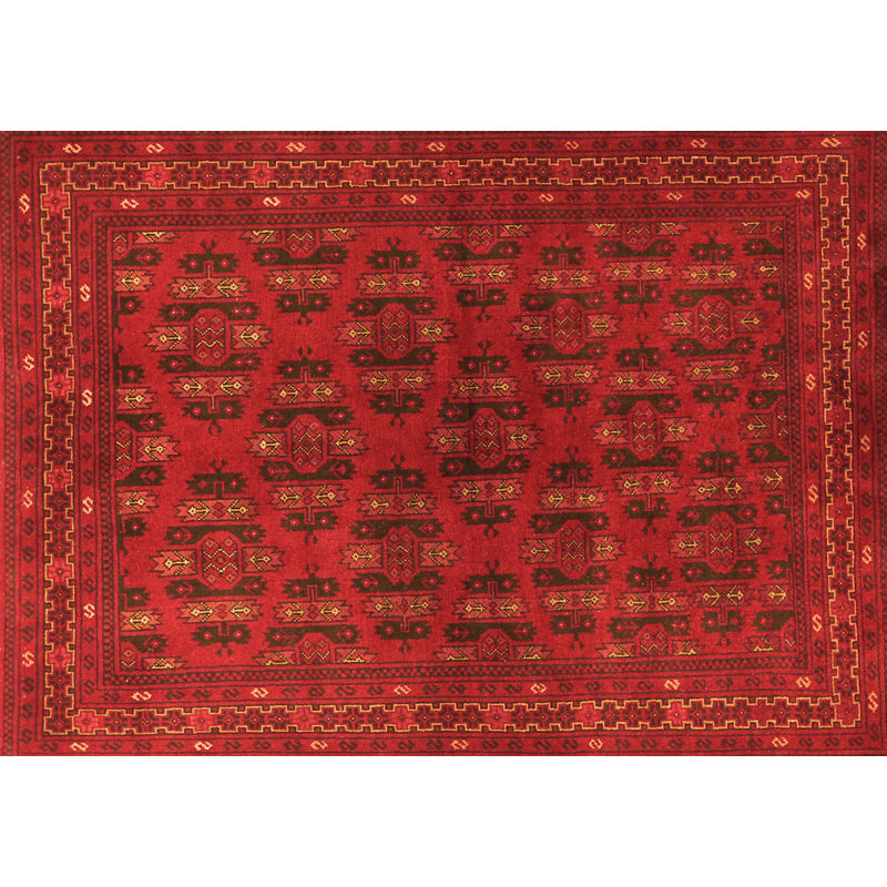 Evienne Oriental Indoor Rug