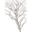 Enfolding Branches Print by David Brown-50538003-63171345