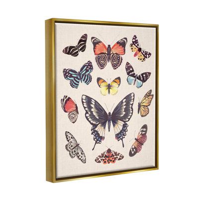 «Cottage Moths and Butterflies On Wood» par Diane Neukirch, impression