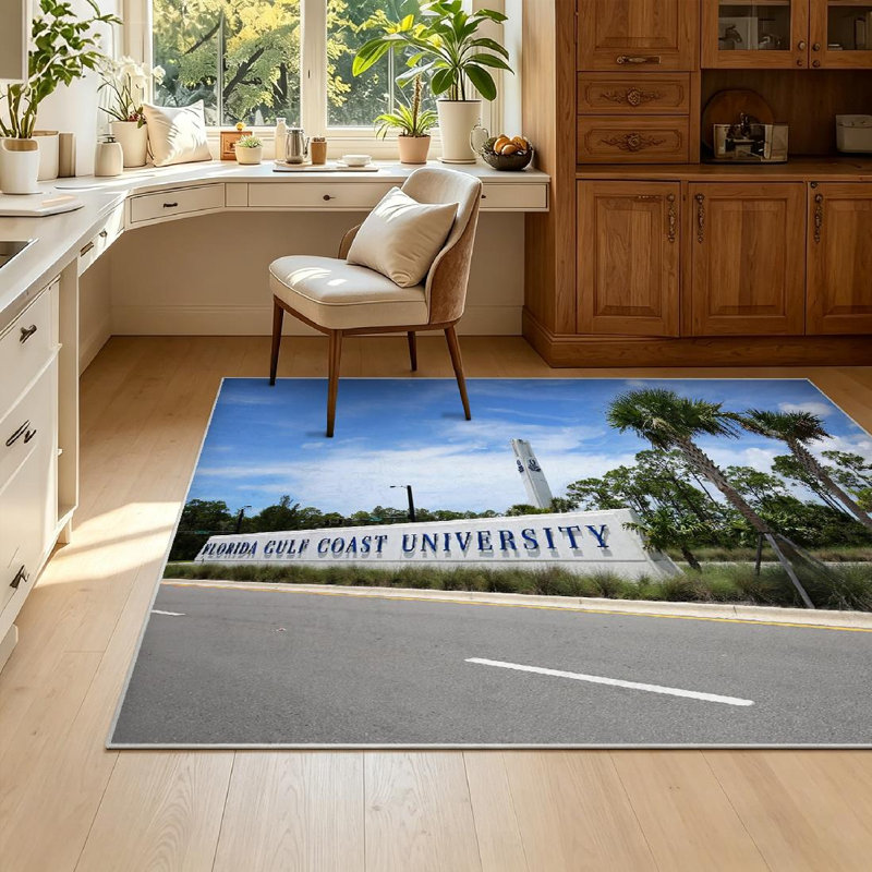 Tapis bleu lavable à la machine, juillet Florida Coast University Street, Rectangle 55 po x 79 po