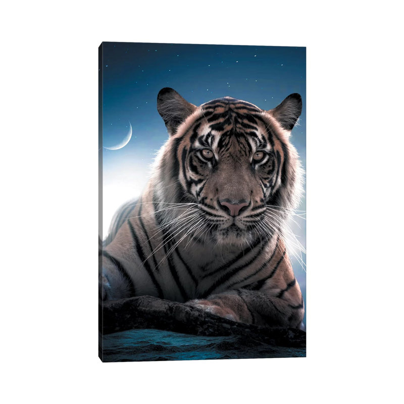 Tiger Moon by Zenja Gammer - Wrapped Canvas Print, 30.48 cm H x 45.72 cm W