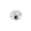 Origins Collection 1-1/4 In. Acrylic Flower Knob