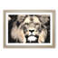 Lion - Picture Frame Graphic Art Print-56859969-56859974