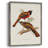 ElegantTrogonsIV Framed Print - Solid Wood-1067650612