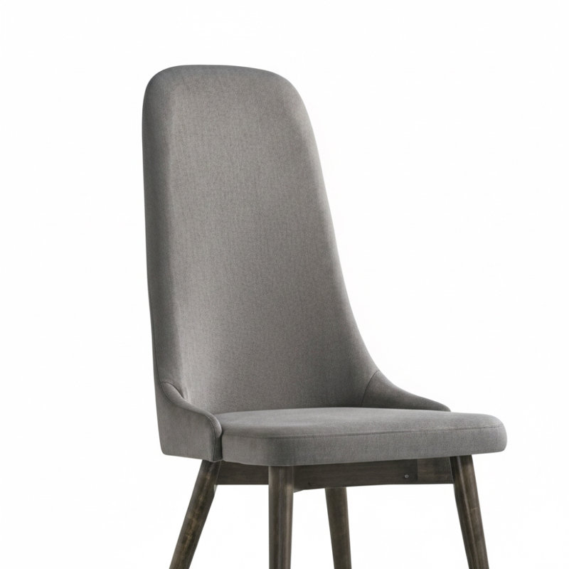 Ensemble de 2 chaises d'appoint Sitnix