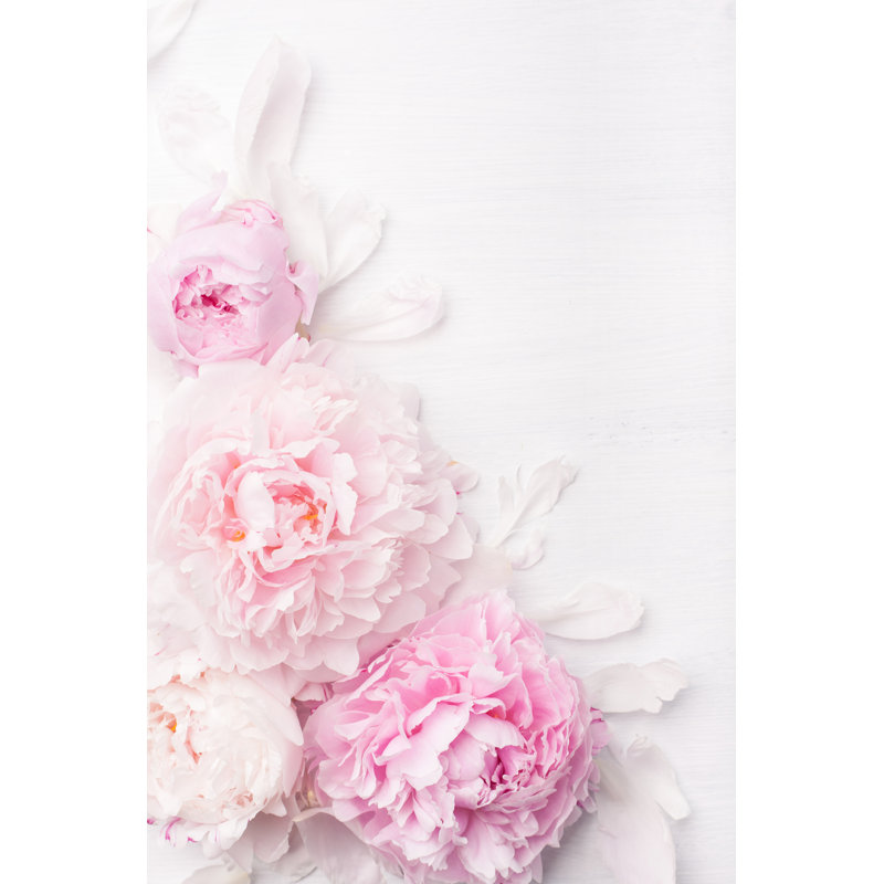 Madisonburg Beautiful Pink Peonies - Wrapped Canvas Print, 122cm H x 81cm W x 3.8cm D