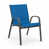 Harnais bleu royal / anthracite