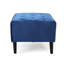 Boutonné en velours bleu marine, reposant sur des pieds en bois de bouleau fiables, tissu en velours, debout