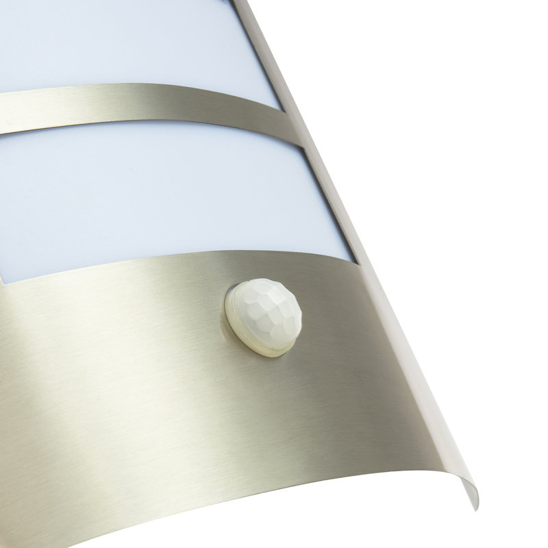 Matte 28cm H Outdoor Sconce