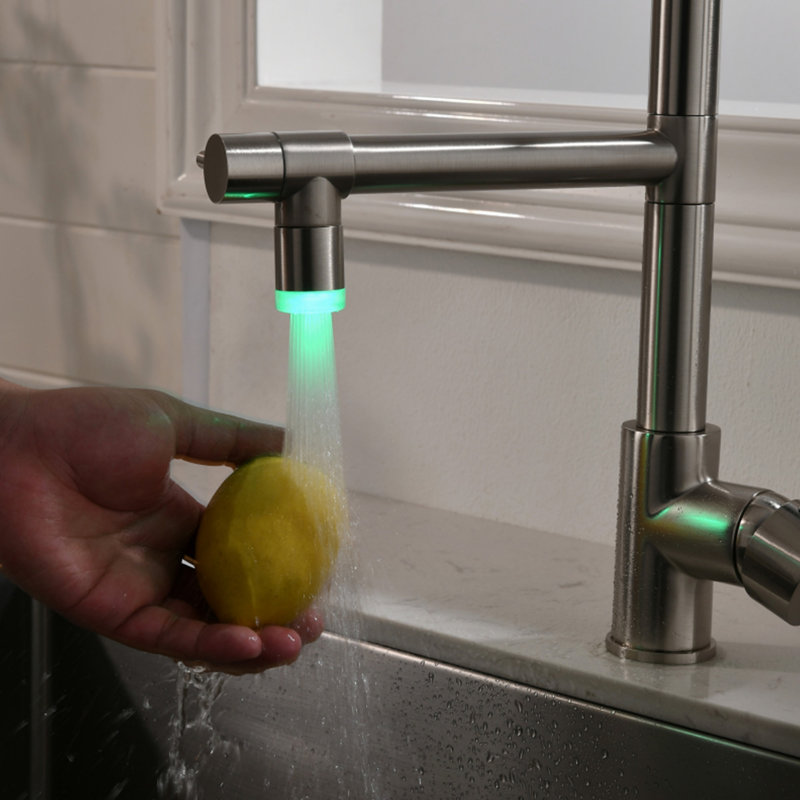 Robinet de cuisine avec douchette extractible nickel brossé, robinet d'évier de cuisine à poignée simple