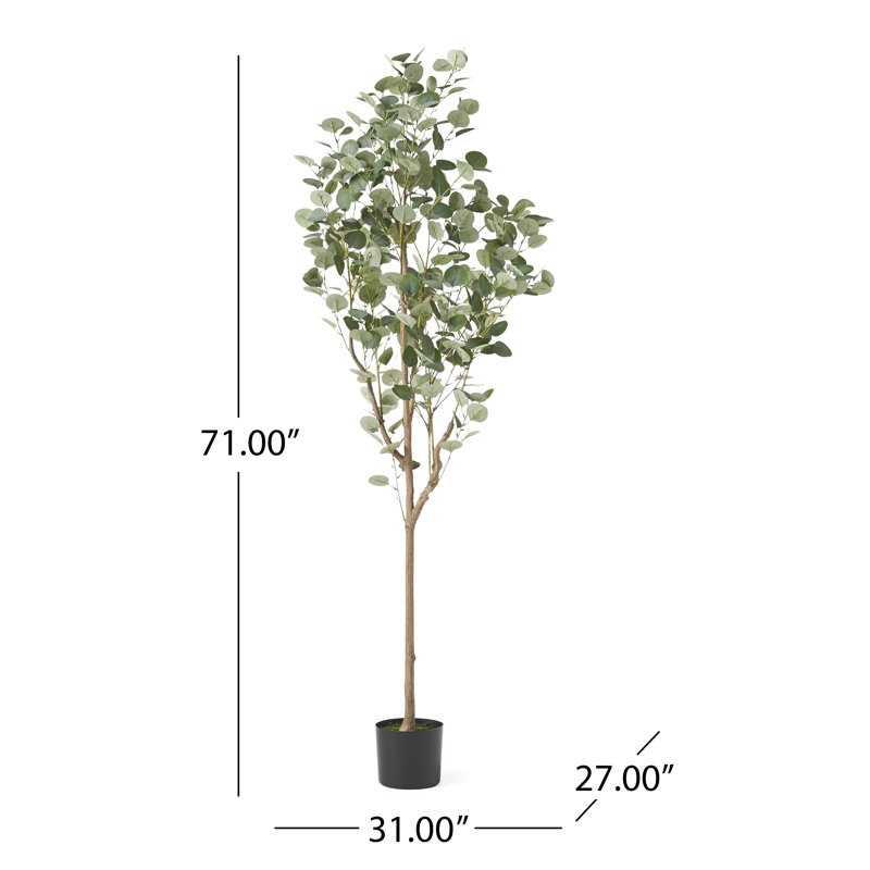 Aanya Faux Eucalyptus Tree in Pot, 71" H x 31" W x 27" D