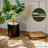 12" x 12" Solid Wood Interlocking Deck Tile-112843021