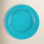 Stinson 10" Dinner Plate