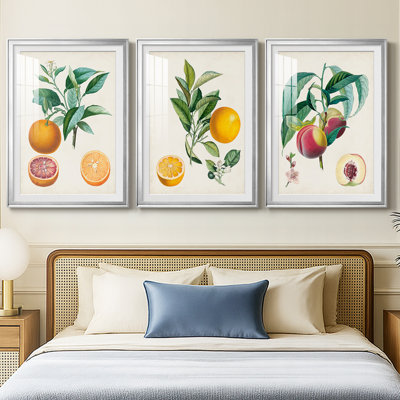 Orange de Malte  -Custom Framed  Premium Print W Matt - 3 Pieces