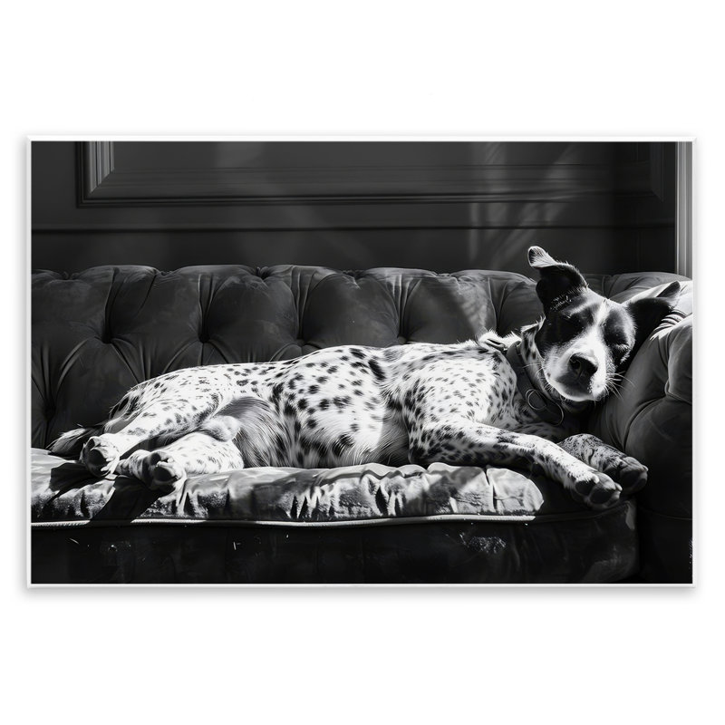 «Lounging Dog in Sun», art mural par LSR Creative Studio, H 10 po x l 15 po