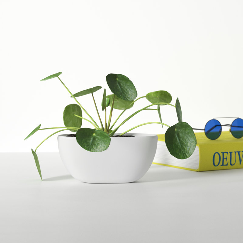 Maui Handmade Ceramic Pot Planter