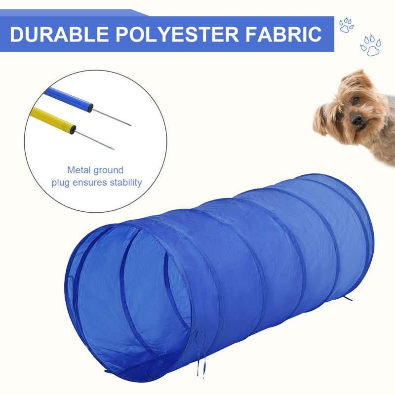 Blue and Yellow Dog Agility Training Course Kit