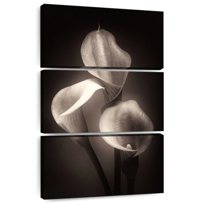 Harnek Calla Lilly sépia