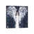 Toile tendue