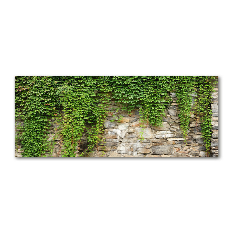 Green Ivy - No Frame Print on Canvas