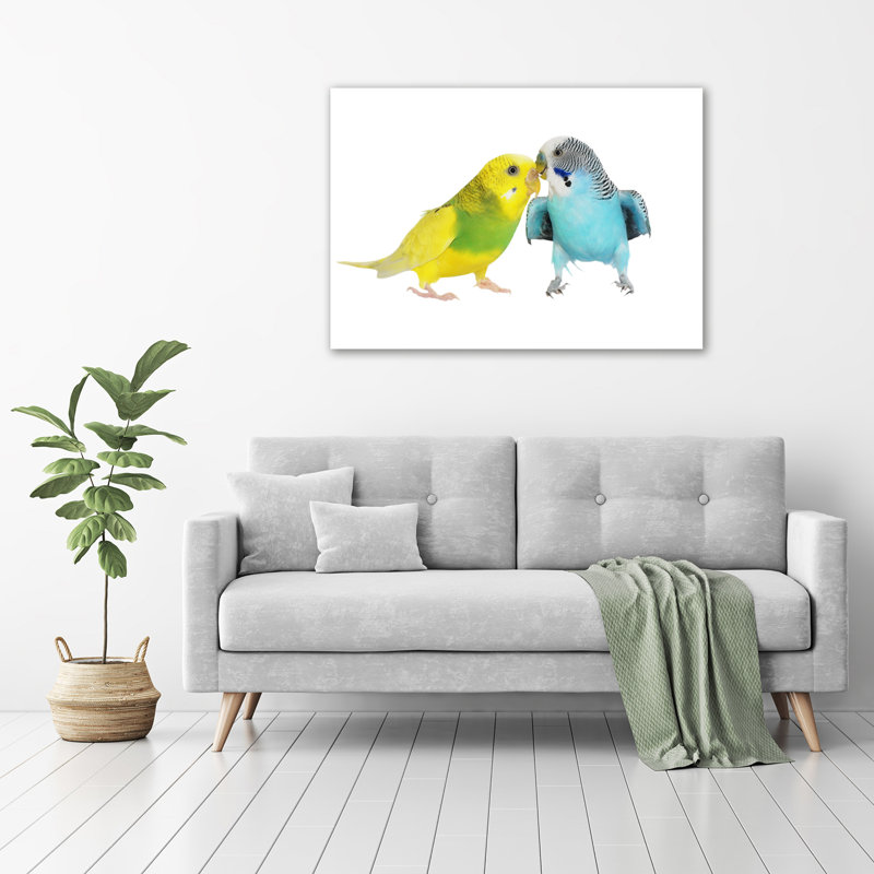 Budgies - No Frame Print on Glass