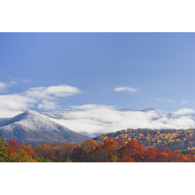 Autumn Day with Snowfall 1 Piece Wrapped Canvas Wall Art