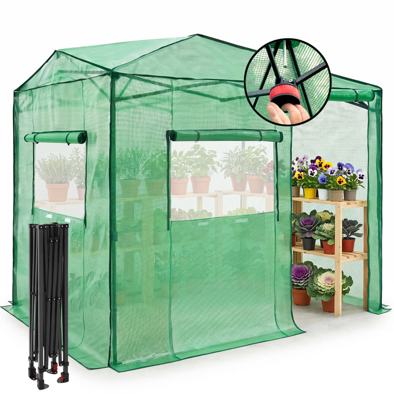 Pop Up Greenhouses 8' X 6' Portable Instant Walk-In Garden Greenhouse