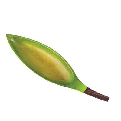 Plateau de repose-pieds Palm Leaf