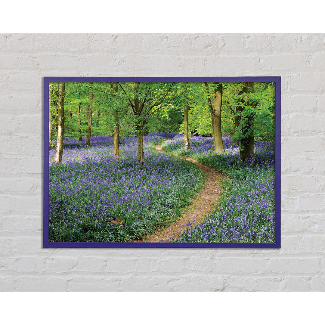 Walk Through The Bluebell Path - Einzelne Bilderrahmen Kunstdrucke