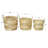 AllModern Seagrass Basket