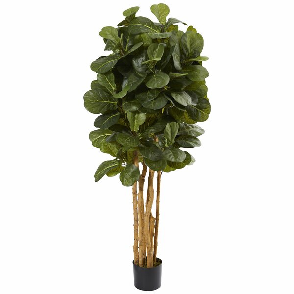 Faux Fiddle Leaf Fig Tree in Pot & Reviews | Joss & Main