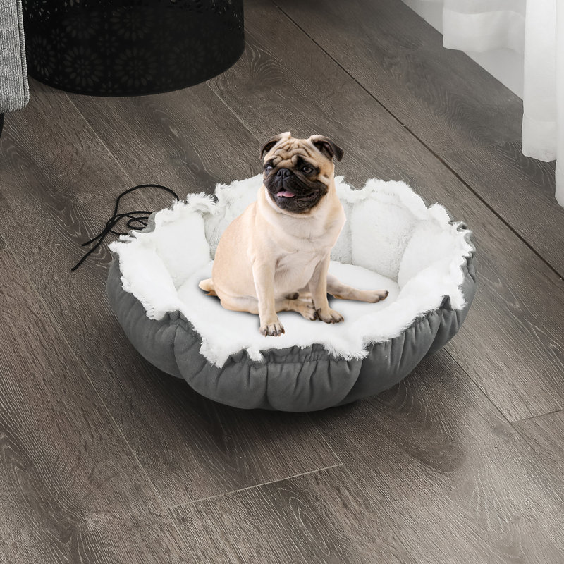 Tucker Murphy Pet™ Pet Bed Reviews Wayfair Canada