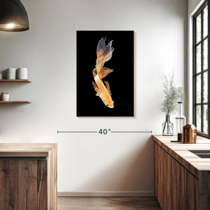 Brampt Betta Fish Dive, 36" H x 24" W