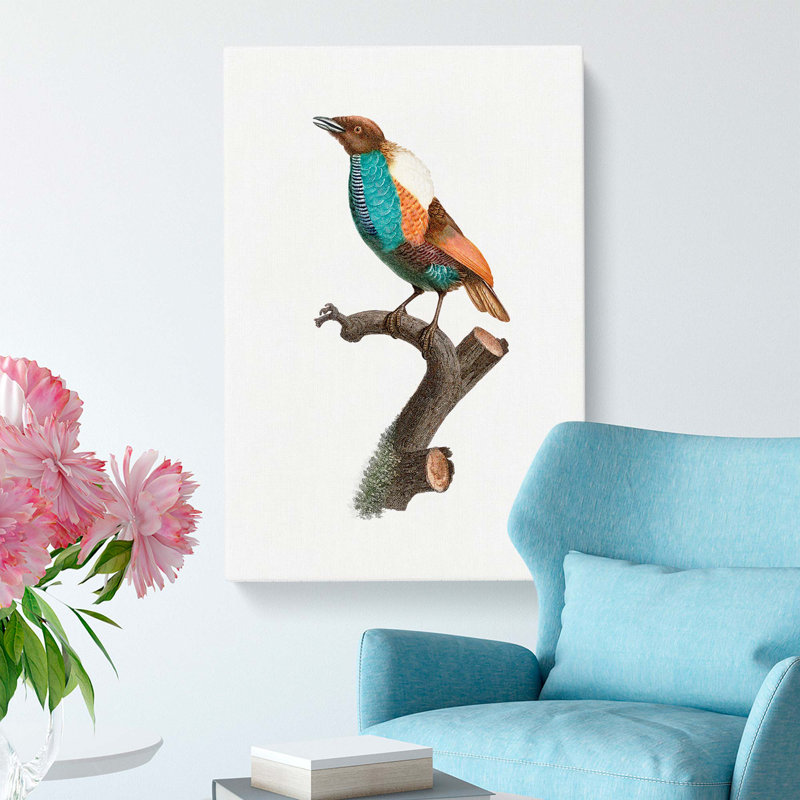 Magnificent Bird Of Paradise by Jacques Barraband - Wrapped Canvas, 60cm H x 40cm W x 3cm D