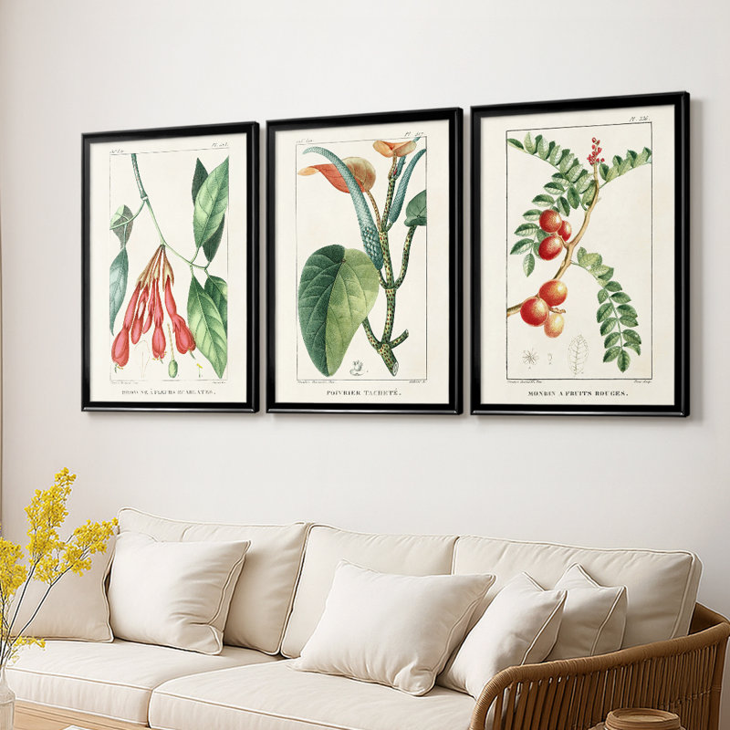Turpin Tropical Botanicals I - Toile tendue avec châssis sur mesure - 3 pièces, Noir, H 21 po x l 30 po
