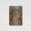 Métal luxueux «New Born» par Collin Bgo-101623536